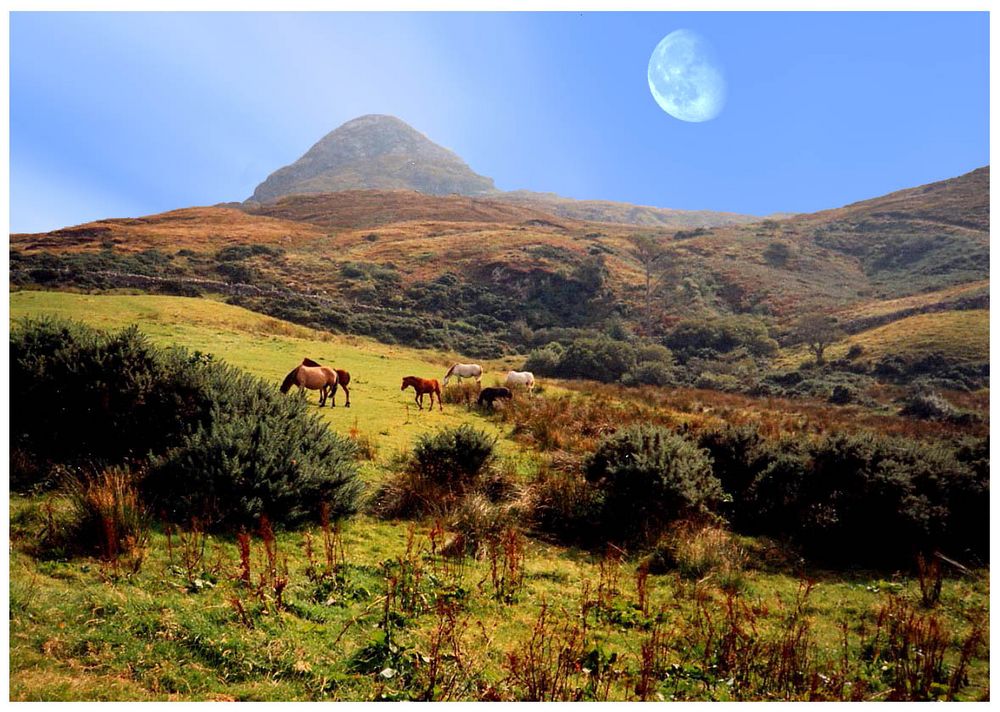 Connemara National Park