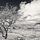 Connemara National Park