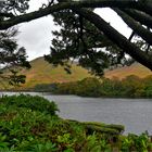 Connemara Nationalpark - County Galway - Irland