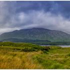 Connemara Panorama