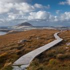 Connemara Track