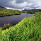 Connemara(Ireland)