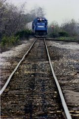 Conrail CR#1981 war die erste Lokomotive, die ich je fotografierte, damit...