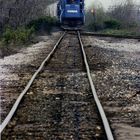 Conrail CR#1981 war die erste Lokomotive, die ich je fotografierte, damit...