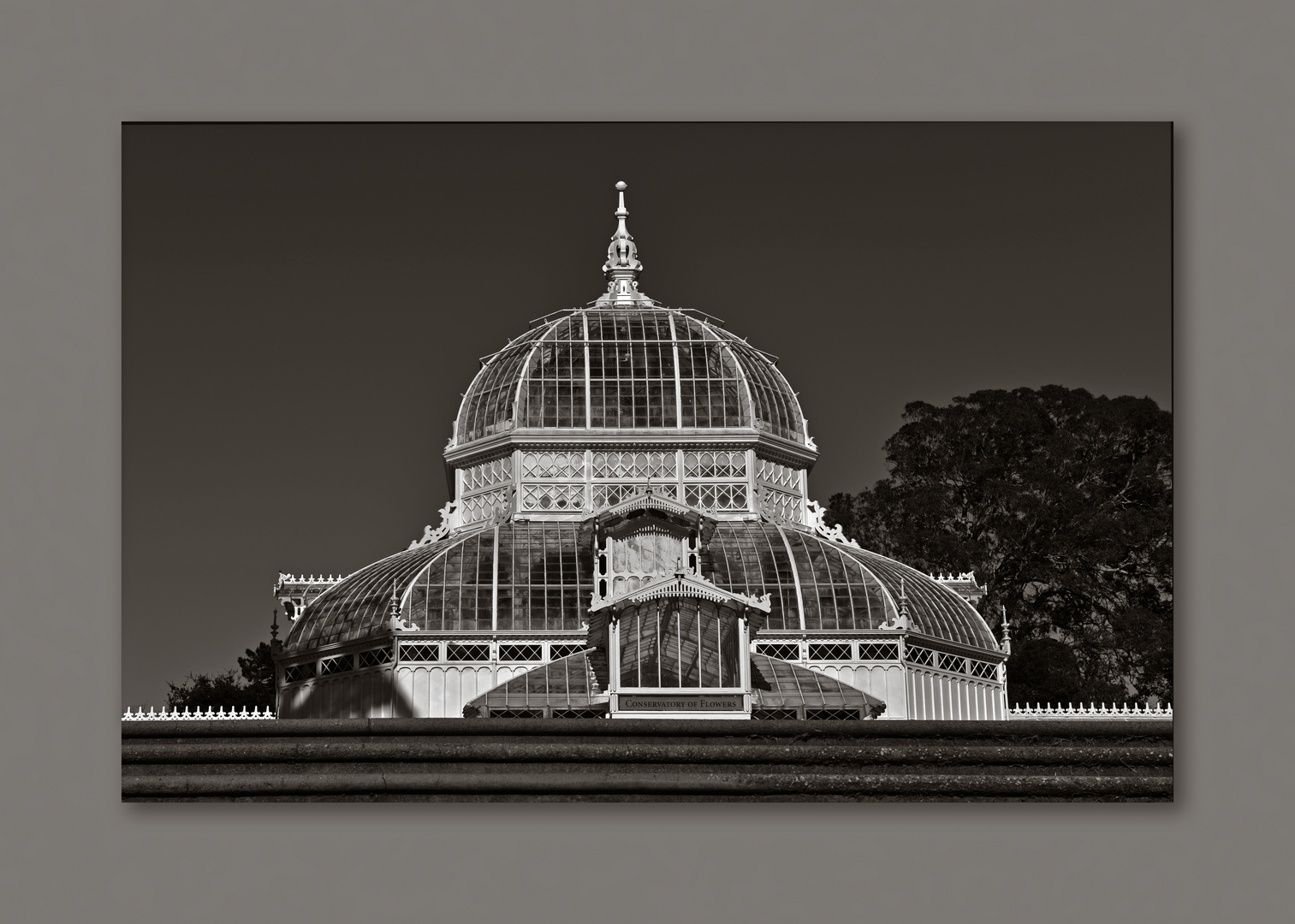 Conservatory of Flowers