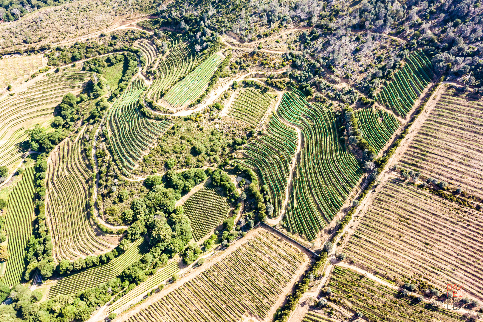 Constantia Glen Weingut