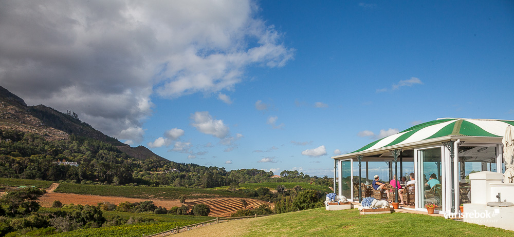 Constantia Glen, Weingut bei Kapstadt