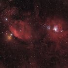 Constellation Orion in Deep Halpha
