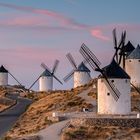 Consuegra