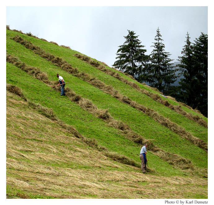 Contadini di alta montagna