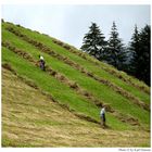 Contadini di alta montagna