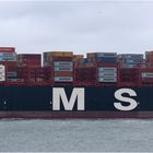 Container Carrier MSC JADE, Rotterdam.