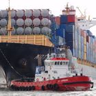 Container Freighter in Hamburt