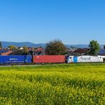 Container nach Österreich