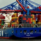 Container Riese im Hamburger Hafen