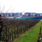 Container statt Obst