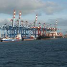 Container Terminal 2