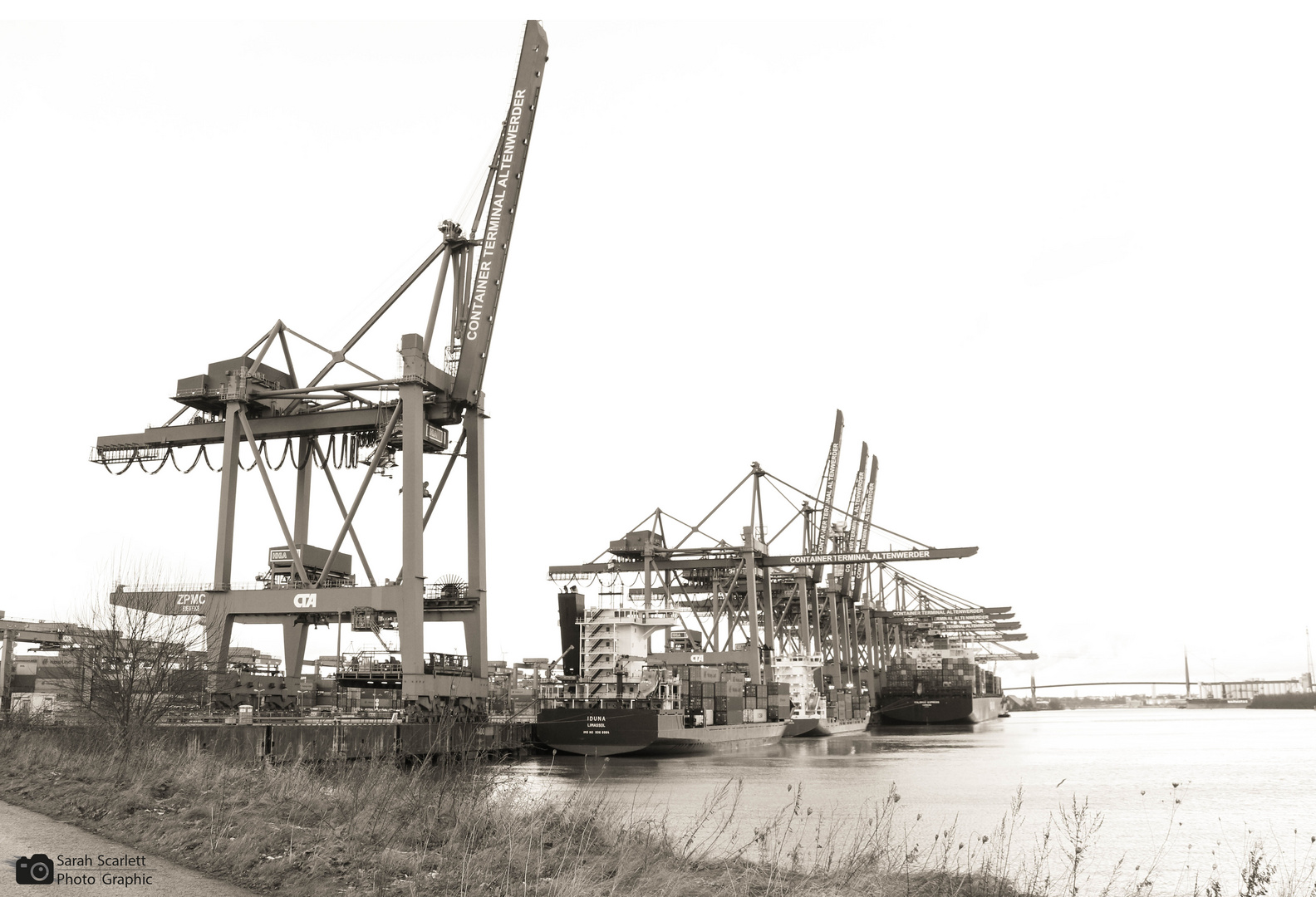 Container Terminal Altenwerder 2