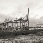 Container Terminal Altenwerder