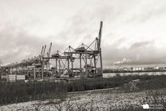 Container Terminal Altenwerder