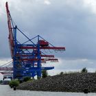 Container Terminal Altenwerder