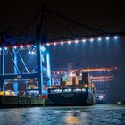 Container Terminal Altenwerder I