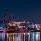 Container Terminal Altenwerder - Schiffe gucken