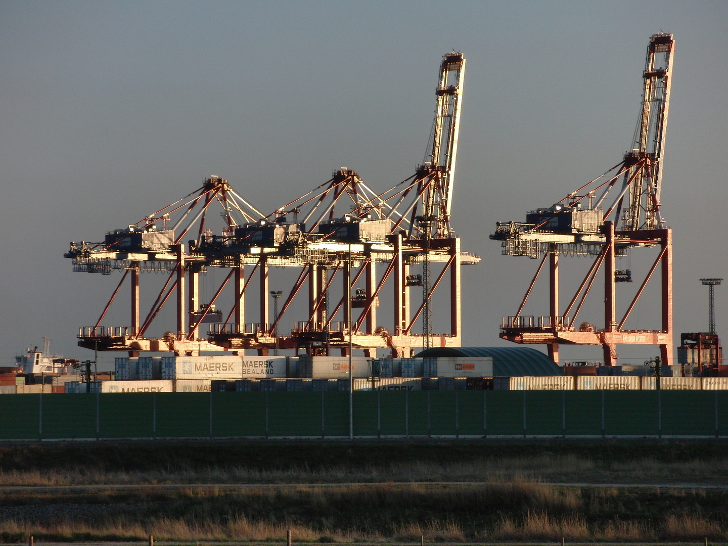 Container-Terminal Bremerhafen im Sonnenuntergang