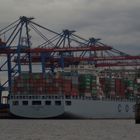 container terminal in hamburg