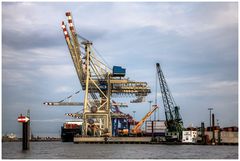 Container Terminal Tollerort