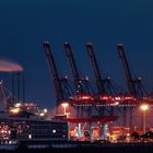 Container Terminal Tollerort an der Elbe