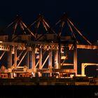 Container Terminals