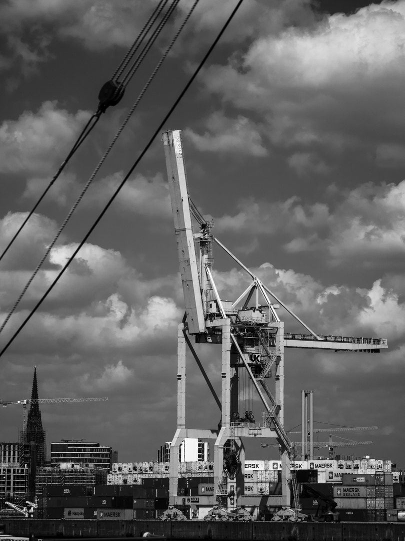 Containerbrücke am Tollerort