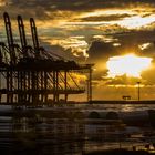 Containerbrücken im Hafen von Bremerhaven