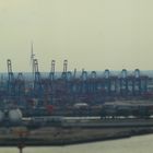 Containerbrücken im Hamburger Hafen
