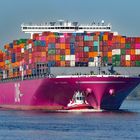 Containerfrachter  "ONE CRANE" - Ankunft Hamburg am 22.9.20