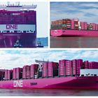 Containerfrachter  "ONE Innovation"