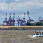 Containerhafen an der Elbe in Hamburg