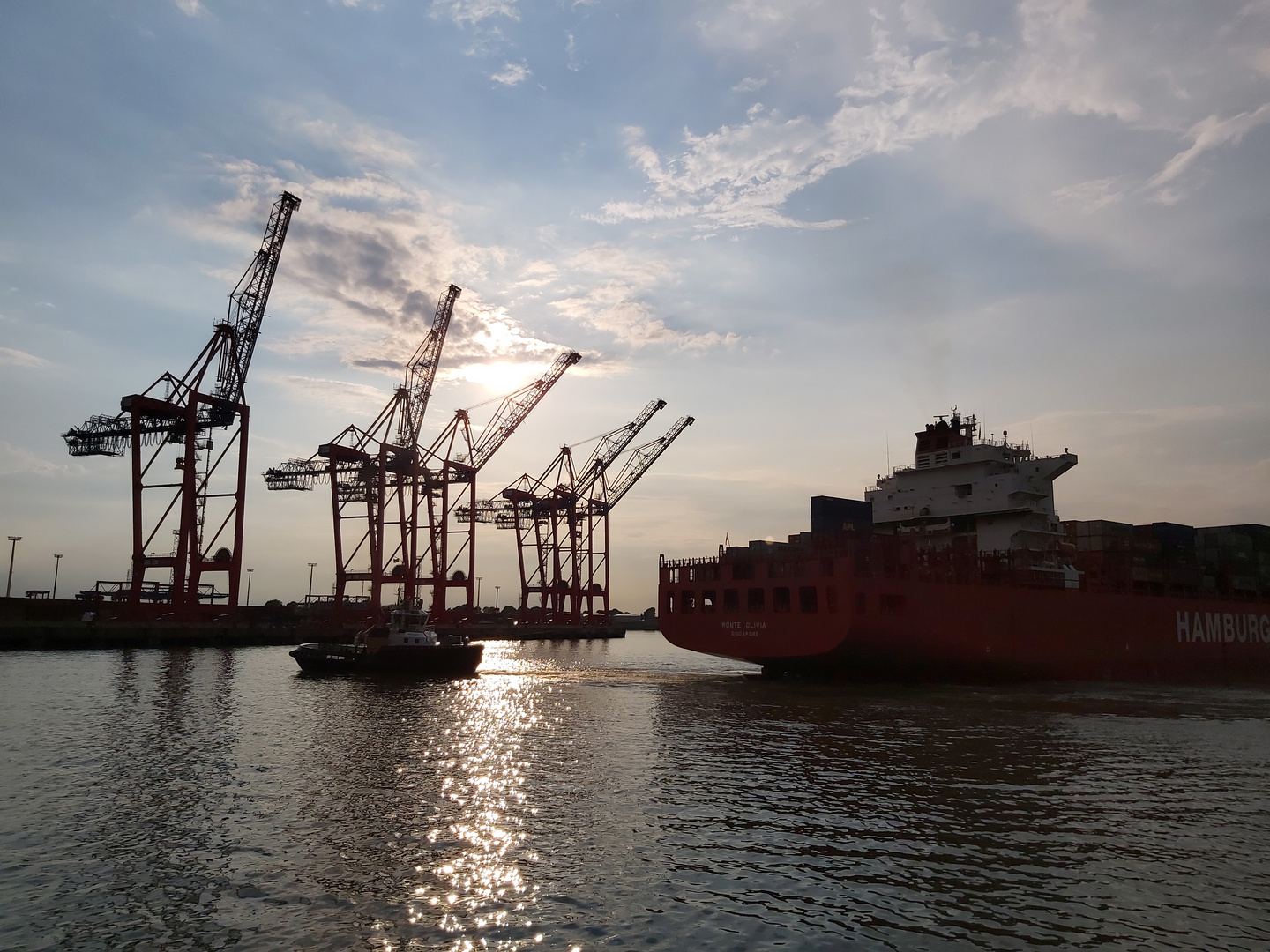 Containerhafen Hamburg