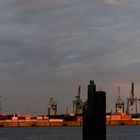 Containerhafen Hamburg