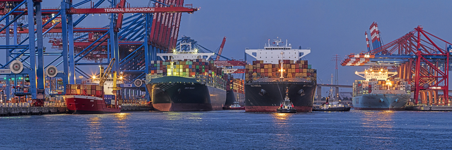 Containerhafen Waltershof