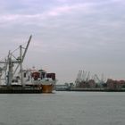 Containerriesen im Hansahafen und historische Lagerschuppen im Hafen Hamburgs