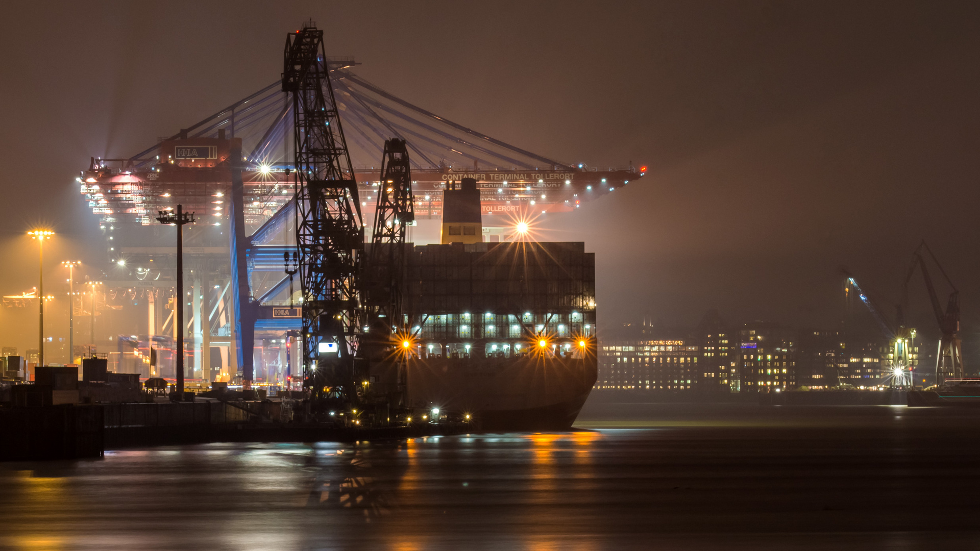 Containerschiff am Terminal Tollerort