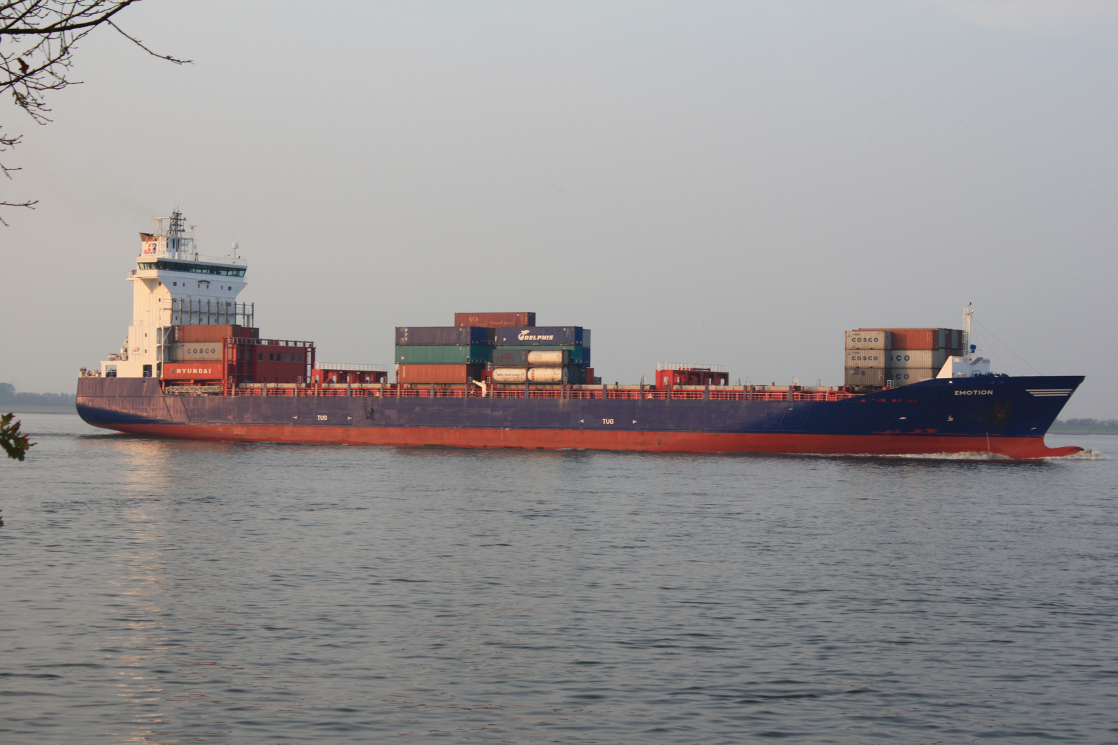 Containerschiff auf der Elbe bei Lühe im Alten Land
