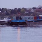 Containerschiff bei Porz zur blauen bzw. blauroten Stunde