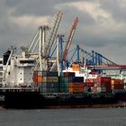 Containerschiff " Carat" verläßt den Hambuerger Hafen