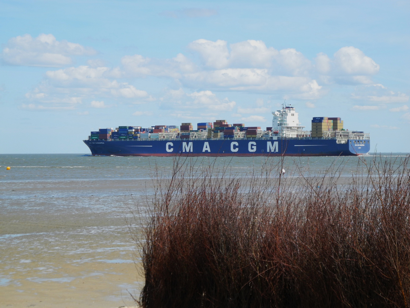 Containerschiff Cassiopeia