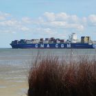 Containerschiff Cassiopeia