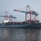 Containerschiff Cosco Nagoya