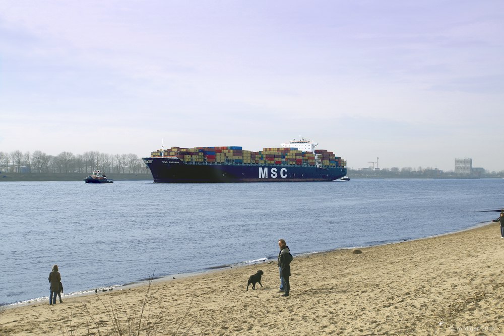 Containerschiff Elbe Strand Ovelgönne